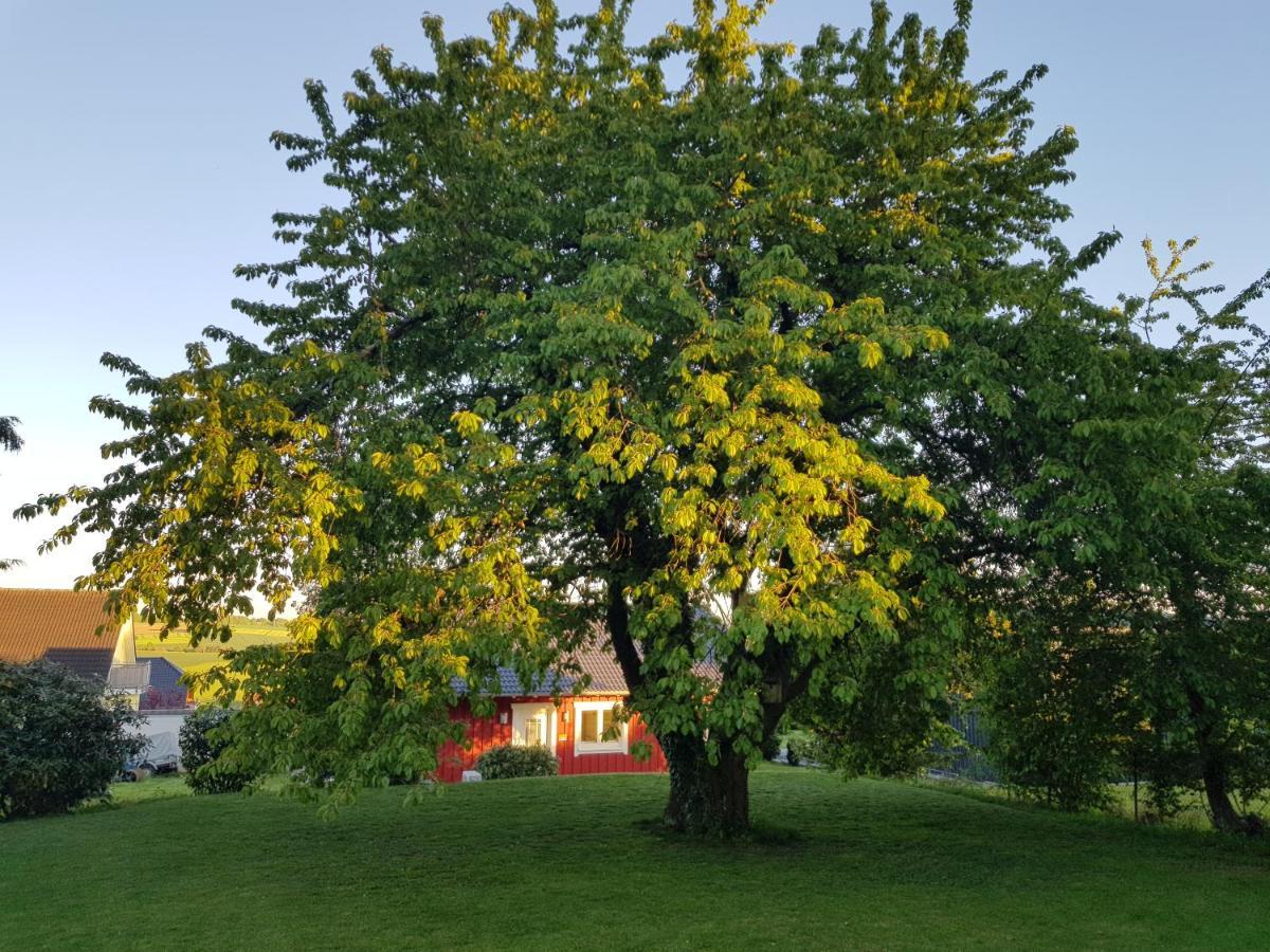 Ferienhaus Loeh Kleinmaischeid Exteriér fotografie